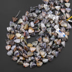 Rare Natural Brazilian Phantom Agate Beads Smooth Triangle 20mm Gemstone 15.5" Strand