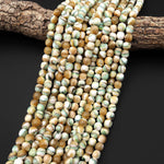 AAA Natural Turbo Green Brown Mother of Pearl 8mm 10mm Smooth Rounded Barrel Beads Iridescent Shell 15.5" Strand