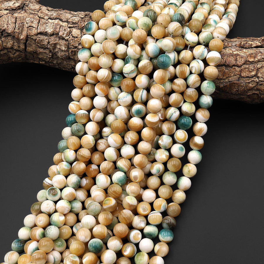 AAA Natural Turbo Green Brown Mother of Pearl 8mm 10mm Smooth Round Beads Iridescent Shell 15.5" Strand