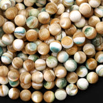 AAA Natural Turbo Green Brown Mother of Pearl 8mm 10mm Smooth Round Beads Iridescent Shell 15.5" Strand