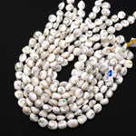 Ocean Whisper Natural Shiva Eye Shell Beads Rounded Pillow Nuggets 12mm 14mm 16mm 15.5" Strand