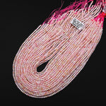Natural Pink Queen Conch Shell 3mm Smooth Round Beads 15.5" Strand