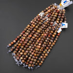 AAA Large Hole Beads 2.5mm Drill Natural Leopard Skin Jasper 8mm Round Beads 8" Strand