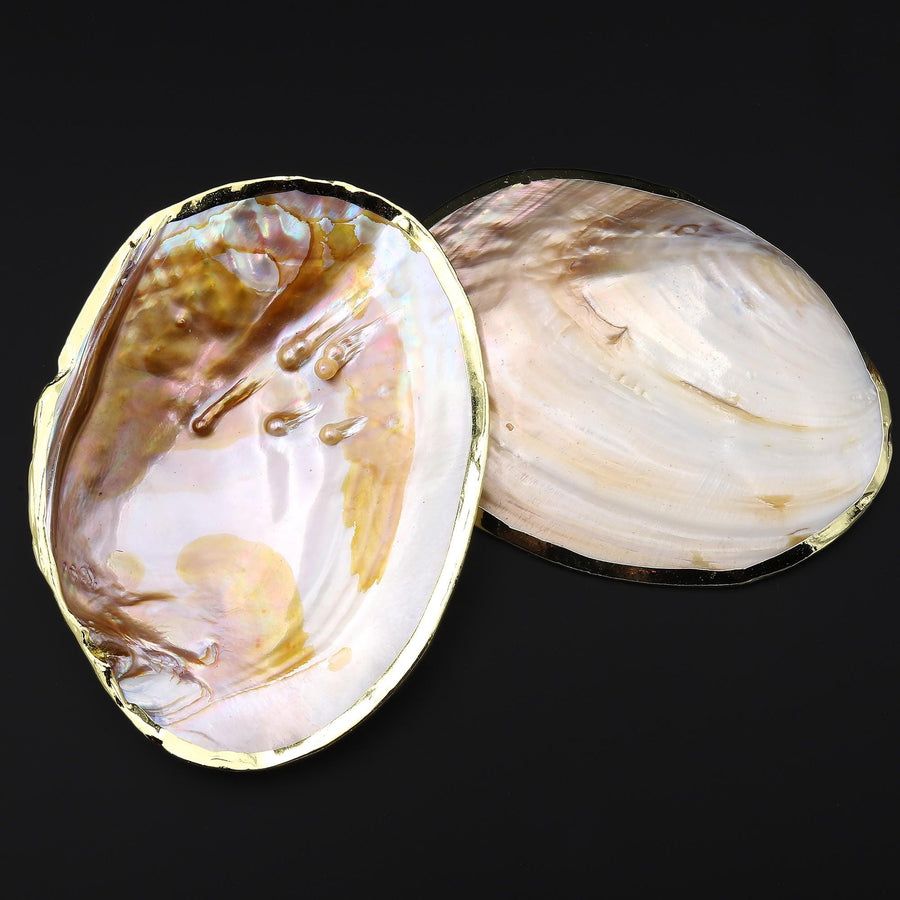 AAA Large Natural Mother of Pearl Shell Dish W Real Iridescent Blister Pearls Gold Trim