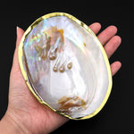AAA Large Natural Mother of Pearl Shell Dish W Real Iridescent Blister Pearls Gold Trim