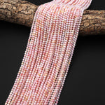 Natural Pink Queen Conch Shell 3mm Smooth Round Beads 15.5" Strand