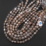 Natural Smoky Gray Peach Moonstone Pebble Nugget Beads Silvery Chatoyant Gemstone 15.5" Strand