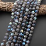 AAA Large Natural Labradorite 12mm 14mm 16mm 18mm Smooth Round Beads 15.5" Strand