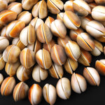 Natural Shiva Eye Shell Beads Center Drilled Raw Organic Golden Orange Green Fossil Beads 20mm 15.5" Strand