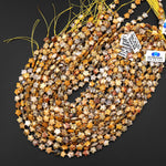 Faceted Natural Yellow Crazy Lace Agate Beads 8mm Carved Star Gemstone 14.5" Strand