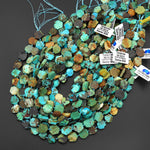 Genuine Natural Dragon Skin Turquoise Flat Hexagon Slice Beads 15.5" Strand