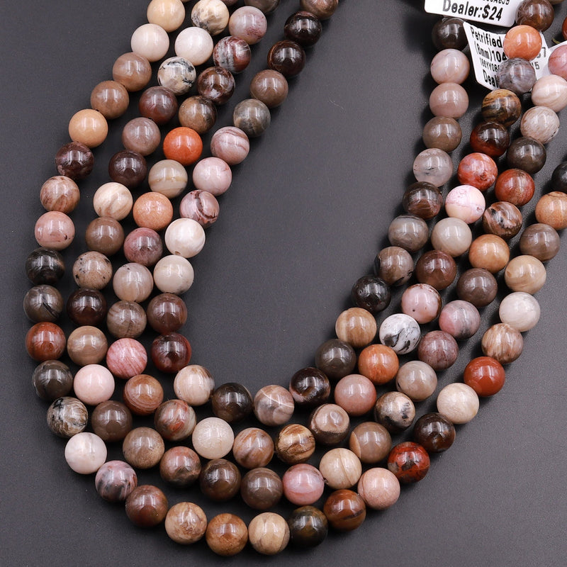 Natural Petrified Wood Beads 6mm 8mm 10mm Smooth Round Beads Wholesale –  Intrinsic Trading