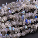 Natural Labradorite Blue Flashes Freeform Chip Pebble Nugget Beads Gemstone 15.5" Strand