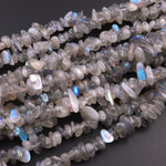 Natural Labradorite Blue Flashes Freeform Chip Pebble Nugget Beads Gemstone 15.5" Strand