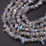 Natural Labradorite Blue Flashes Freeform Chip Pebble Nugget Beads Gemstone 15.5" Strand