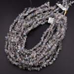 Natural Labradorite Blue Flashes Freeform Chip Pebble Nugget Beads Gemstone 15.5" Strand