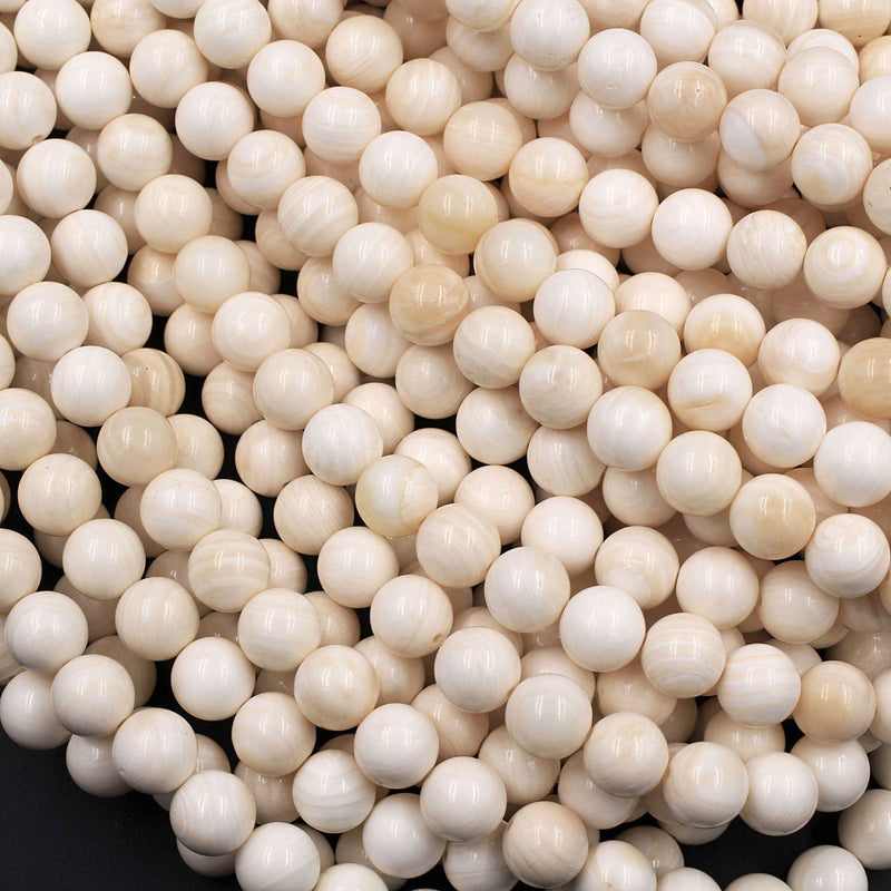 Natural Tridacna Shell 6mm 8mm Round Beads Creamy Beige Tan 16" Strand