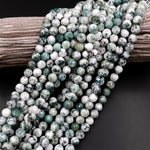 AAA Natural Green Tree Agate Faceted 6mm 8mm 10mm Round Beads 15.5" Strand