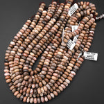 Large Natural Fossil Coral Smooth Rondelle Beads 10mm Brown Beige Tan Rusty 15.5" Strand