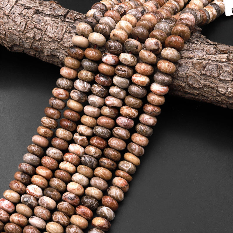 Large Natural Fossil Coral Smooth Rondelle Beads 10mm Brown Beige Tan Rusty 15.5" Strand
