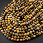 AAA Natural Bumble Bee Jasper Smooth Round Beads 6mm 8mm 10mm 15.5" Strand