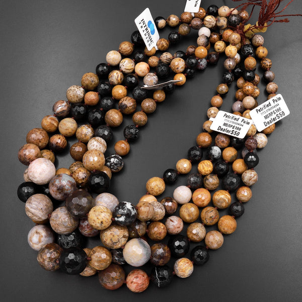 Natural Petrified Palm Wood Beads Graduating 8mm to 16mm Round Beads 15.5" Strand