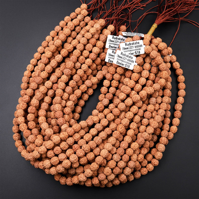 Genuine Real Natural Rudraksha Seed Beads 6mm 8mm 10mm Prayer Beads Mala Making 15.5" Strand