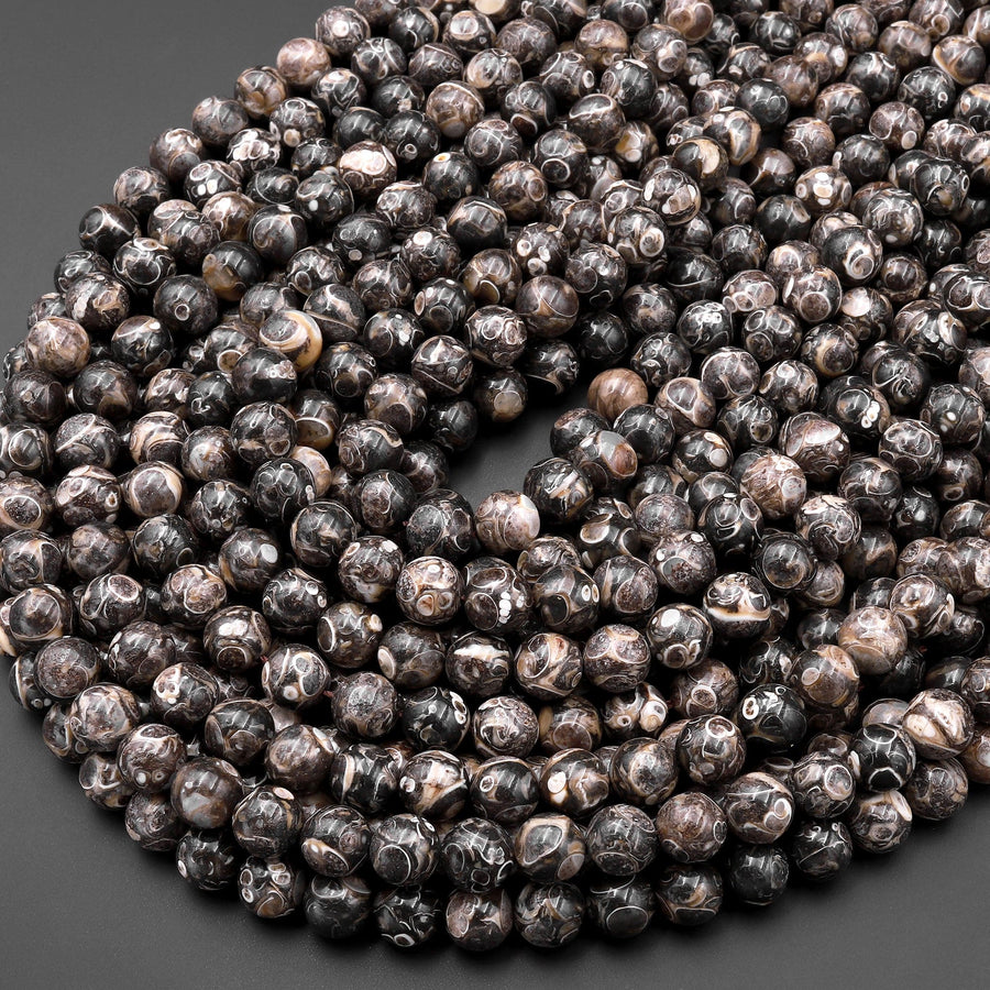 Natural Turritella Agate Fossil Round Beads 4mm 6mm  8mm 10mm Round Beads Genuine Real Dark Brown Black Fossil From Wyoming 15.5" Strand