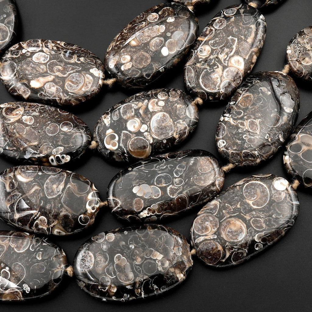 Large Natural Turritella Fossil Agate Oval Beads 15.5" Strand