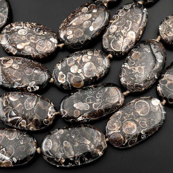 Large Natural Turritella Fossil Agate Oval Beads 15.5" Strand