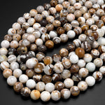 Natural Petrified Wooden Opal Beads 4mm 6mm 8mm 10mm Round Beads Earthy Beige Brown Yellow Gray Natural Stone 15.5" Strand