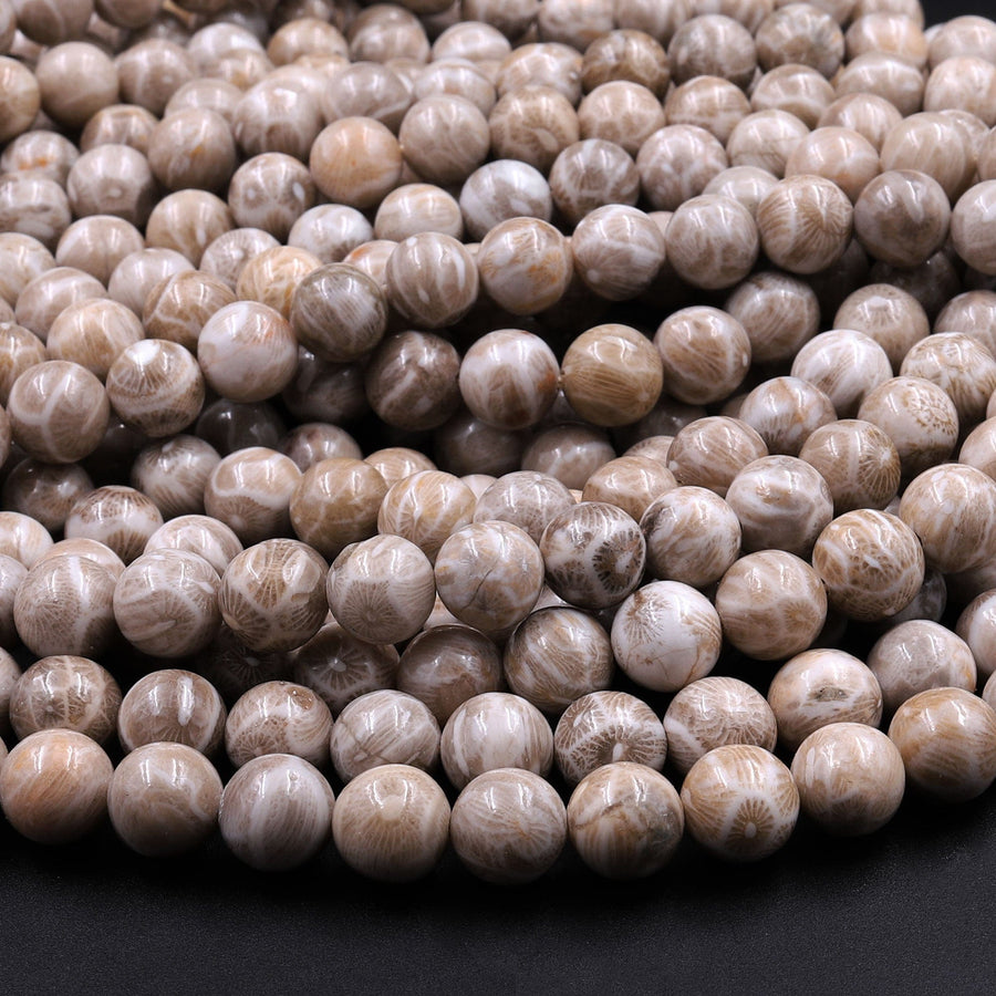 A+ Natural Michigan Petoskey Stone Fossil Coral Round 6mm  8mm 10mm 12mm Round Beads Earthy Gray Brown Tan Beige Beads 16" Strand