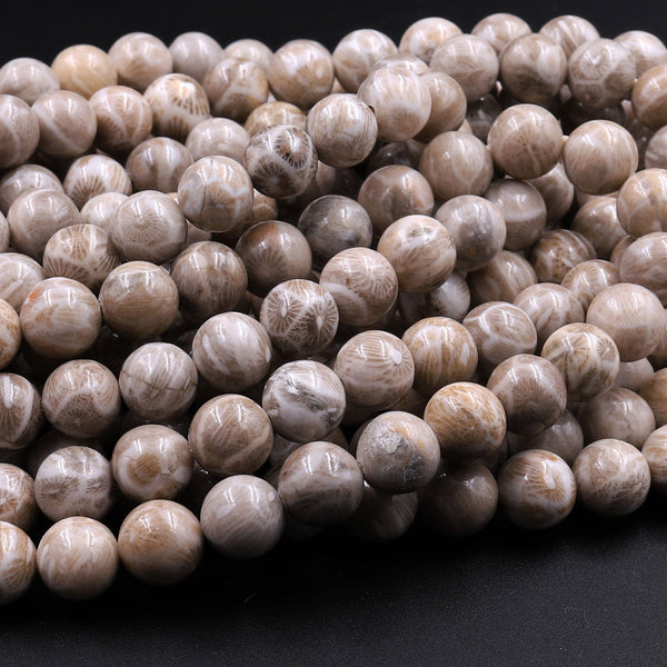 A+ Natural Michigan Petoskey Stone Fossil Coral Round 6mm  8mm 10mm 12mm Round Beads Earthy Gray Brown Tan Beige Beads 16" Strand