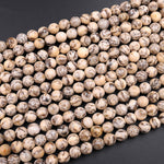 Faceted Graphic Feldspar 6mm 8mm 10mm Round Beads Earth Tones Beads 16" Strand