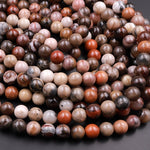 Natural Petrified Wood Beads 6mm 8mm 10mm Round Beads Earthy Brown Tan Gray Red Gemstone 15.5" Strand