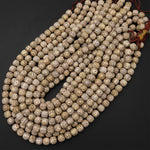 Natural Daemonorops Margaritae Rounded Barrel Beads 8mm 9mm "Star and Moon" Bodhi Seed Prayer Beads Meditation Mala Making 15.5" Strand