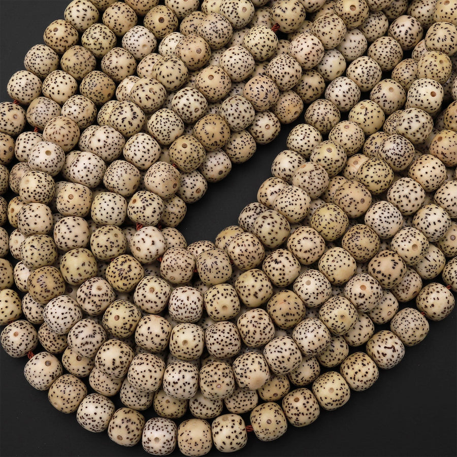 Natural Daemonorops Margaritae Rounded Barrel Beads 8mm 9mm "Star and Moon" Bodhi Seed Prayer Beads Meditation Mala Making 15.5" Strand