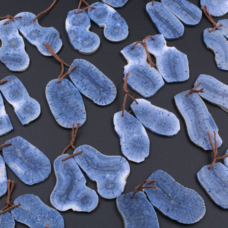 Drilled Long Freeform Natural Blue Sponge Coral Earring Pair Cabochon Cab Pair Irregular Raw Organic Gemstone Bead Pair