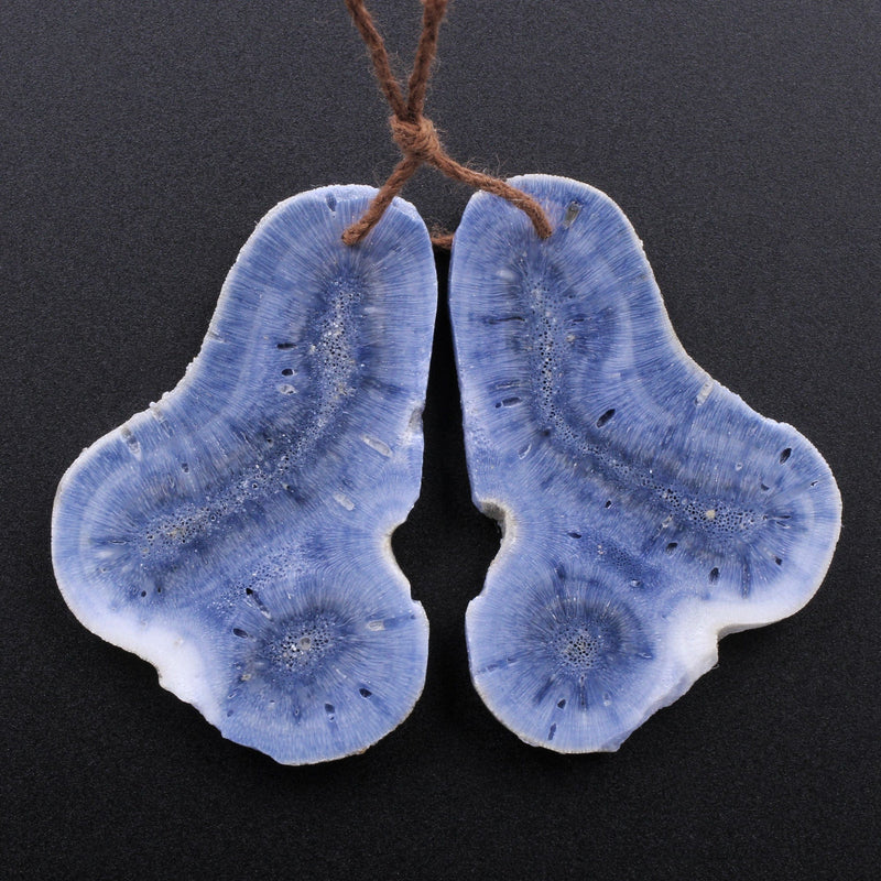 Drilled Long Freeform Natural Blue Sponge Coral Earring Pair Cabochon Cab Pair Irregular Raw Organic Gemstone Bead Pair