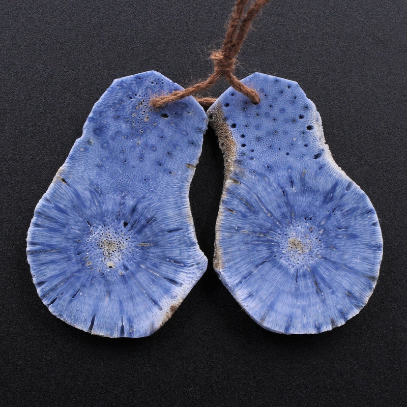 Drilled Long Freeform Natural Blue Sponge Coral Earring Pair Cabochon Cab Pair Irregular Raw Organic Gemstone Bead Pair
