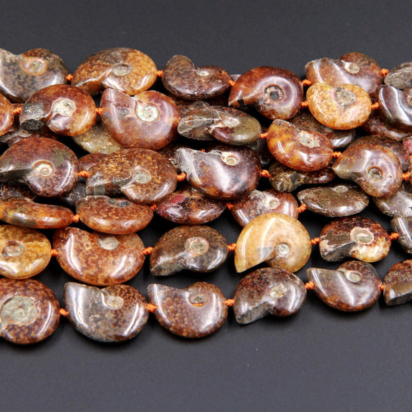Drilled Natural Baby Ammonite Fossil Beads Vertically Drilled Small Whole Ammonite Fossil Pendant Focal Bead 16" Strand