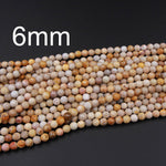A Grade Natural Fossil Coral Faceted Round Beads 6mm Round Beads 8mm Round Beads Faceted 10mm Round Beads Brown Tan Beige Beads 16" Strand