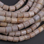 A Grade Natural Fossil Coral Short Cylinder Beads 8mm Puffy Nugget Beads Neutral Gray Taupe Beige Beads 16" Strand