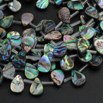 Natural Abalone Teardrop Beads 14mm 18mm Iridescent Rainbow Blue Green Red Pink Flash Real Genuine Abalone Earring Beads 16" Strand