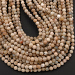 Natural African Dendritic Opal Beads 6mm 8mm Round Beads Neutral Beige Creamy Taupe Sand Brown Color Opal Gemstone 16" Strand