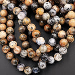 Rare Amethyst Sage Chalcedony 8mm 10mm Round Beads Dendritic Chalcedony Gemstone From Oregon 16" Strand