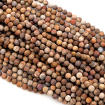 Matte Natural Petrified Wood Beads 4mm 6mm 8mm 10mm Round Beads Earthy Brown Tan Beige Taupe Natural Stone 15.5" Strand