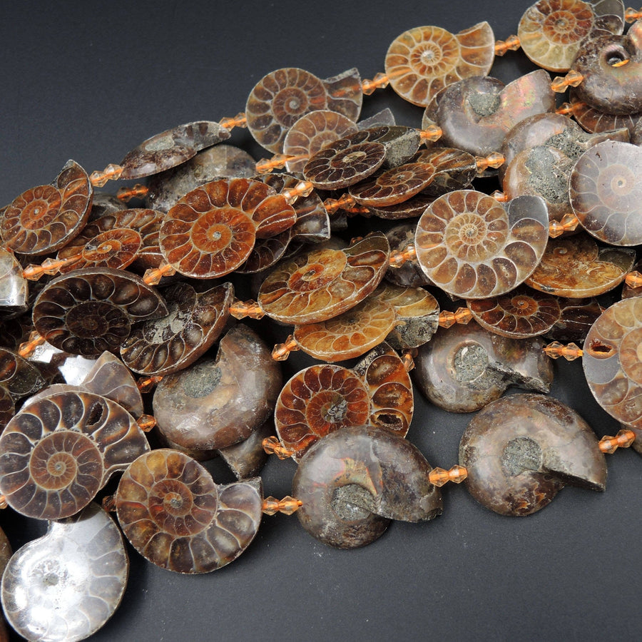 Drilled Half Ammonite Fossil Slice Beads 30mm 35mm 40mm Vertically Drilled Real Genuine Ancient Natural Fossil Pendant Focal Bead 16" Strand