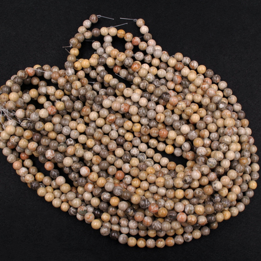 Natural Fossil Coral 6mm 8mm Round Organic Earthy Beads Grey Brown Tan Beige Yellow Beads 16" Strand