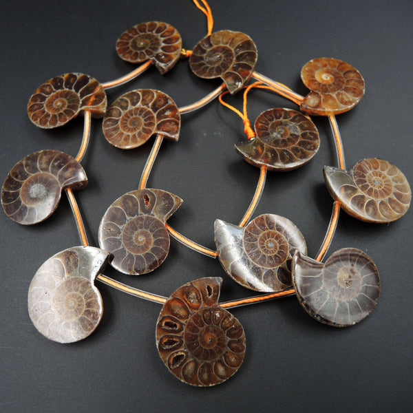 Natural Ammonite Fossil Beads Half Ammonite Slice Ammonite Top Side Drilled Focal Bead Pendant Matched Pair Good For Earrings 16" Strand